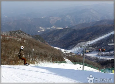 Top Winter Destination And Ski Resort In Korea