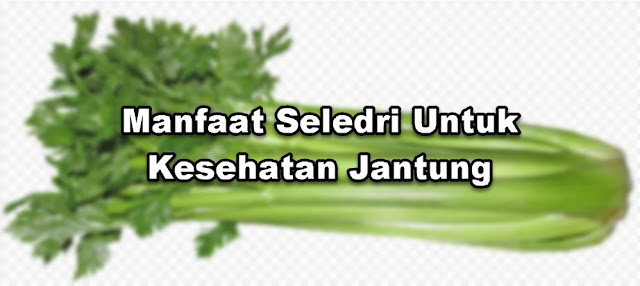 Manfaat Seledri Untuk Kesehatan Jantung