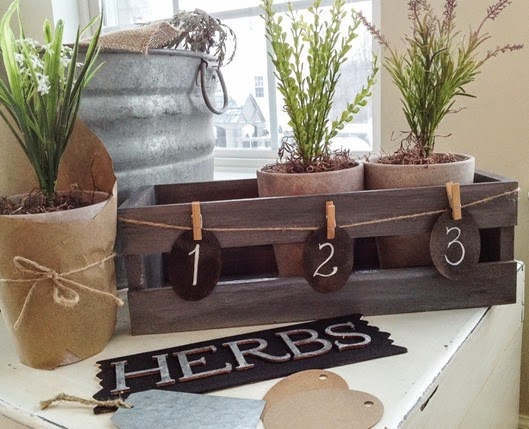 herb garden