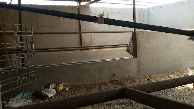 Farm for sale in Egypt, مزارع الاسماعيلية, مزارع للبيع فى الاسماعيلية, مزرعة للبيع بالاسماعيلية