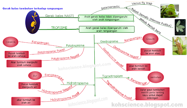 Explore to Koh s Science World Blog Sains Sains 