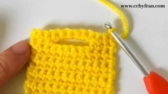 crochet hook pouch