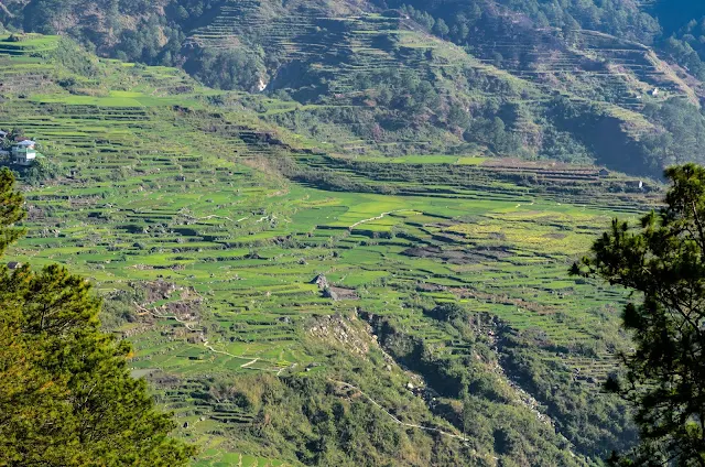 FIDELISAN RICE TERRACES SAGADA Glimpses