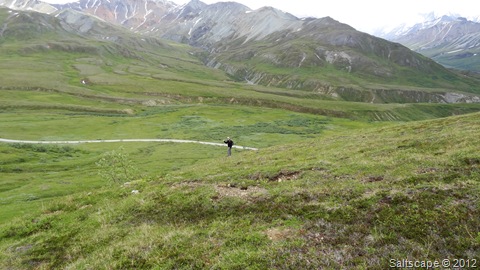 DSC05004