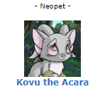 Kovu the Acara