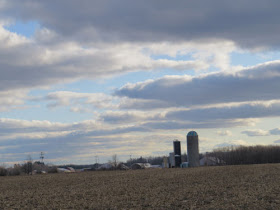 farm on cloudy day