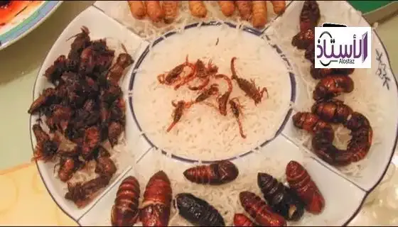Eating-insects-is-halal-or-haram-and-what-are-its-benefits-and-harms