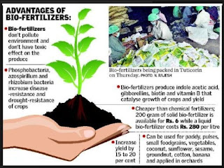 Different Types of Bio Fertilisers