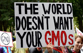 Woman holds a banner which says the world does not want your gmos