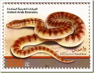 Sand Boa