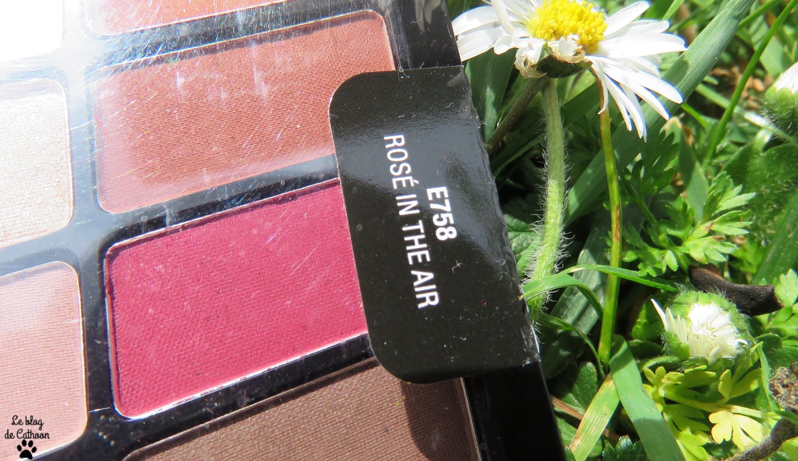 Rosé in the air - Palette de Fards à Paupières - Wet n Wild