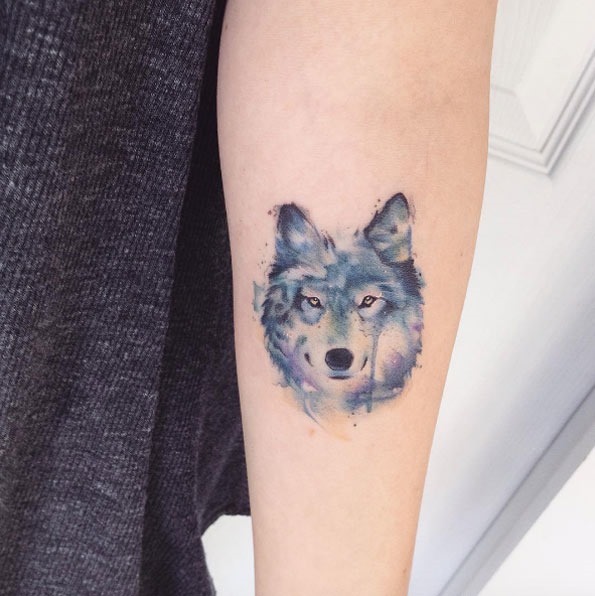 esta_aquarela_lobo