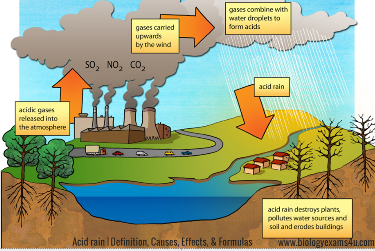 Diagram of Acid Rain Formula