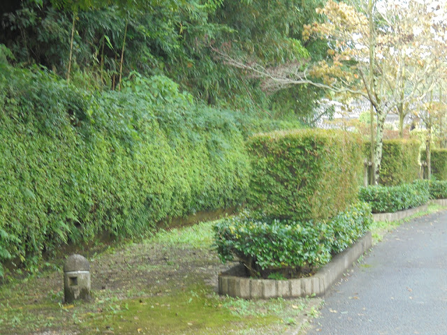 生垣のある整備された歩道を通って帰ります