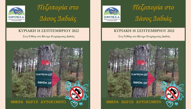 Πεζοπορία στο Δάσος Δαδιάς