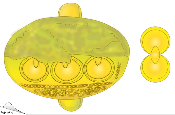 ミノア文明・フェストス宮殿遺跡・カリヴィア共同墓地・金製リング Minoan Gold Ring, Phaestos-Kalivia／©legend ej