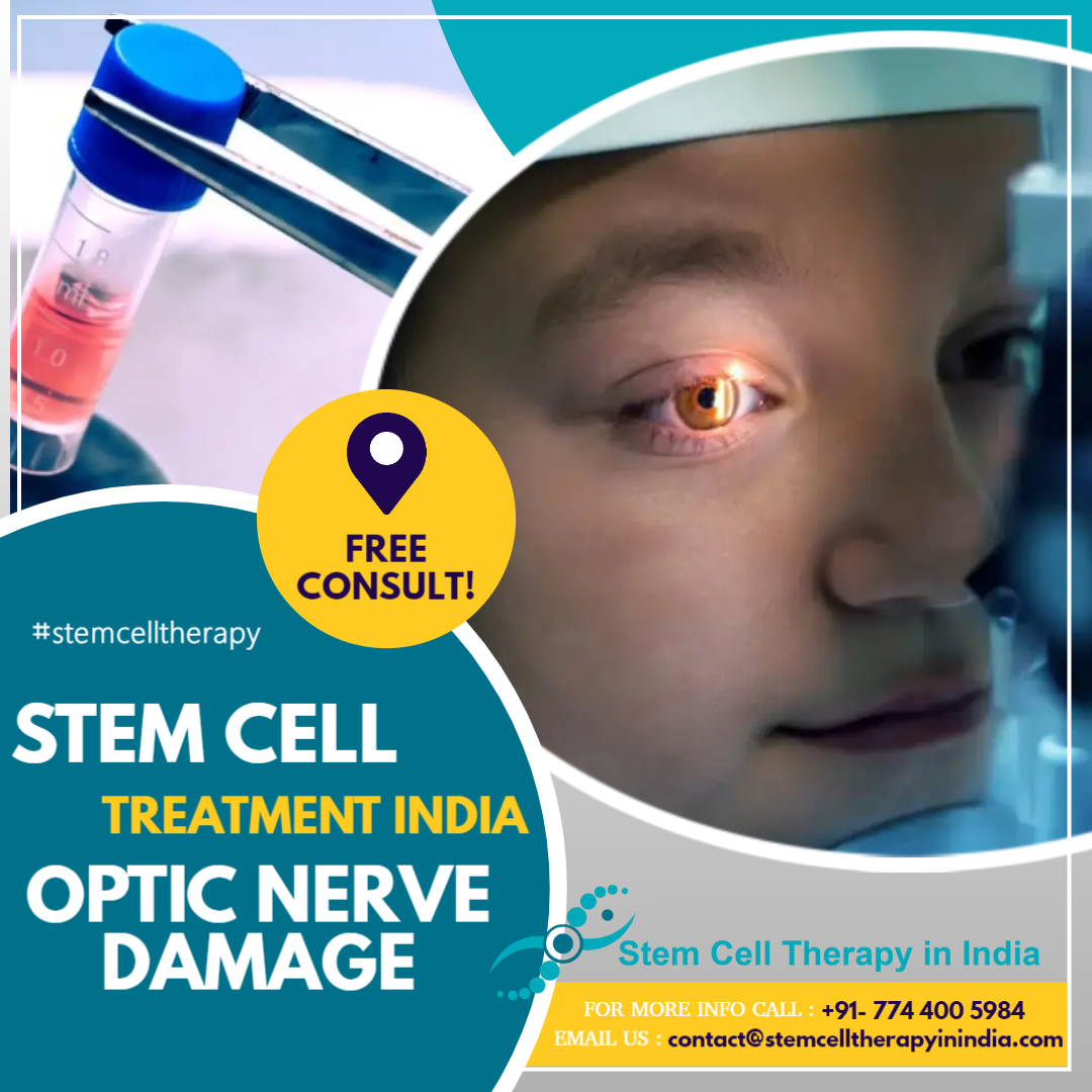 Stem Cell Treatment For Optic Nerve Damage