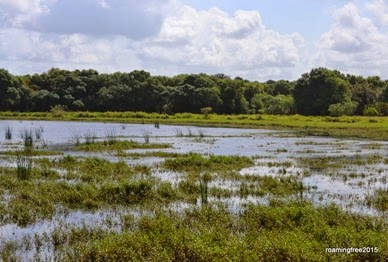 Not a lots of birds at the birdwalk