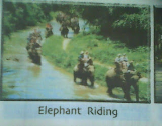 elephant ride in Thailand