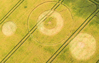 Crop circle UK  Barrows Green , Nearr Widnes, Lancashire. Reported 7th July 2016