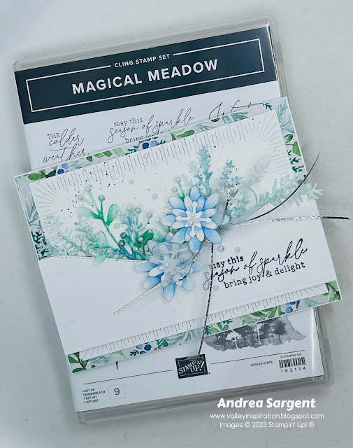 Create a Christmas card and decorated gift box for a special person using the Magical Meadow bundle, Winter Meadow Designer Series Paper and gorgeous Stampin Up embellishments.