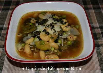 Green Vegetable Minestrone