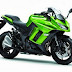 Moto. Nuova Kawasaki Z1000SX 2014