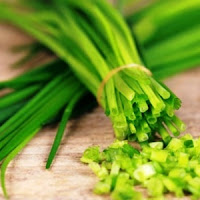 Tanaman herbal yang dapat membantu menyembuhkan penyakit ini salah satunya adalah daun kucai. Kucai mengandung senyawa tetrametiloksamida dan ester yang baik bagi kesehatan. Berikut resep racikan ramuan herbal untuk membantu menyembuhkan keseleo.