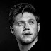 Niall anuncia concierto benéfico