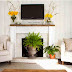 What you need to pay attention when you decorate with plants your home