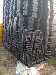 pallet nhựa 1300mm