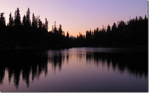 IMG_9240 IMG_9240