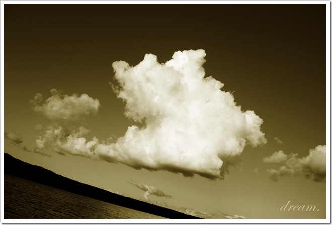 1cloud (kopia)