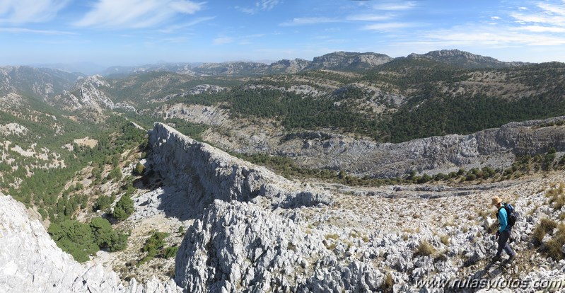 Aguilón del Loco