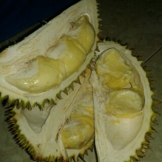 Wisata Durian