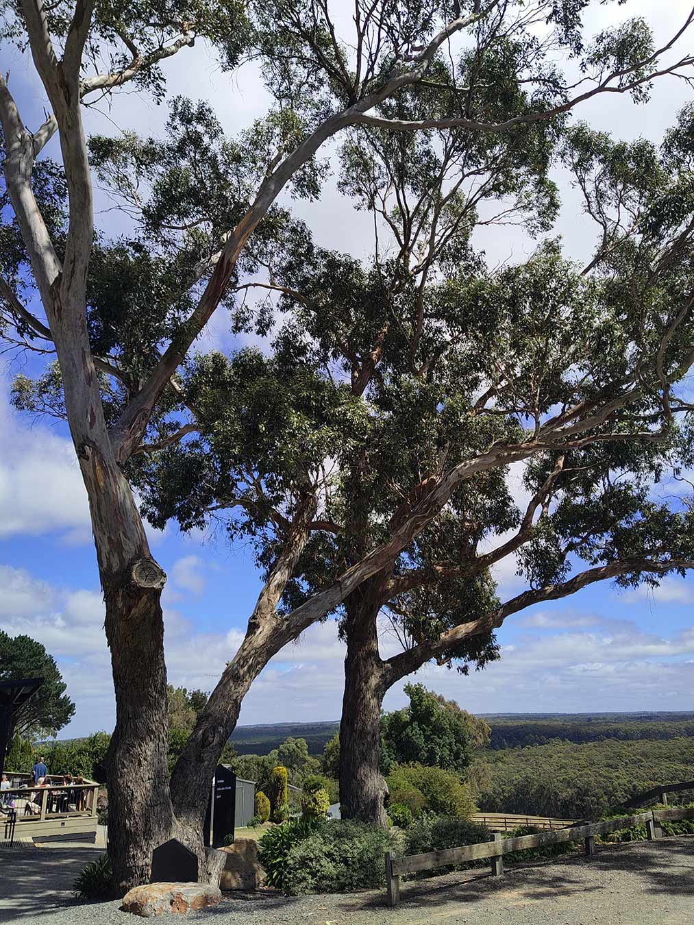 Mt Macedon Winery