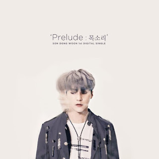 Download Lagu Mp3 MV [Full Single] Son Dong Won (Highlight) – Prelude : Voice