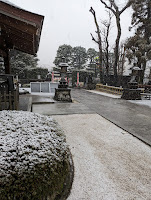 東京 積雪 2024