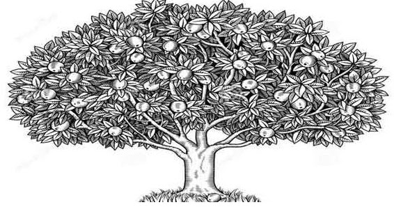Arti dan Contoh Psikotes Gambar Pohon Berkambium yang 