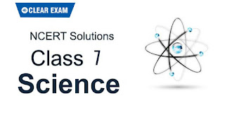 NCERT Solutions Class 7 Science