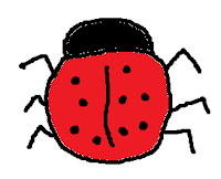 ladybird, ladybug, beetle, bug, insect