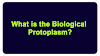 What is the Biological Protoplasm?