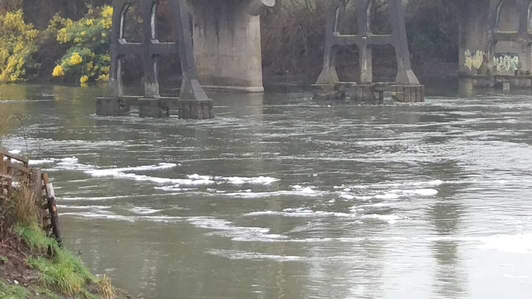 Nueva denuncia de contaminación en Rio Rahue