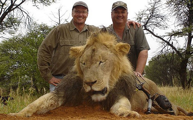 http://www.todaystalk.com.ng/2015/07/cecil-lions-killer-revealed-as-american.html