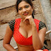 Tamil Actress in saree hot photos and clevage 