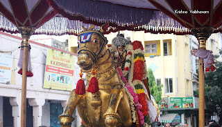 Udaiyavar,Emperumanar,Parthasarathy Perumal,Ramanujar, Varushotsavam, 2018, Video, Day 06,Vellai Sathupadi,Divya Prabhandam,Triplicane,Thiruvallikeni,Utsavam,Velambi,Tamil Puduvarudam