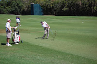 2010 Puerto Rico Open