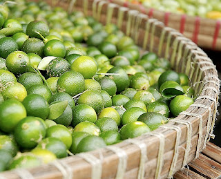 Calamansi before turning to Calamansi Essential Oil