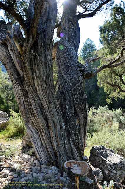 puebla-san-miguel-sabina-barranco-tajos