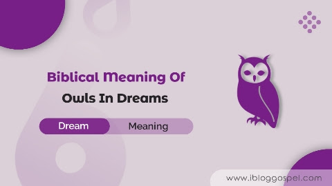 Biblical Meaning Of Owls In Dreams